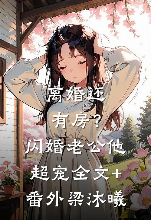 离婚还有房？闪婚老公他超宠全文+番外梁沐曦