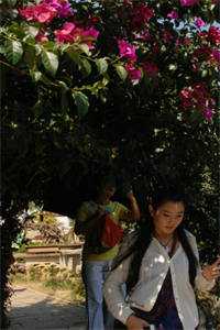 虞晚傅景深(离婚后，冷情前夫求着我回家)完整版在线阅读_(虞晚傅景深)全章节免费阅读
