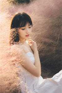 叶川苏莹莹小说叫什么名字_苏莹莹叶川小说在哪里可以看