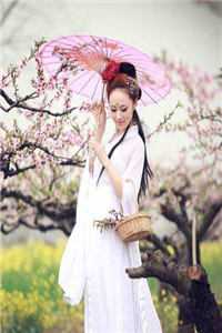新娘逃婚，我转身便娶了青楼花魁全集阅读（赵琰完颜）完整版小说阅读_新娘逃婚，我转身便娶了青楼花魁全集阅读全文免费阅读（完颜赵琰）