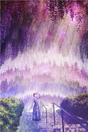 最新章节阅读《独宠萌妃完整文集阅读》(邵青凌无影)全文免费