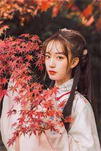 完结版小说癌症晚期离婚，所有人开始爱我宋以朗林苏_癌症晚期离婚，所有人开始爱我(宋以朗林苏)已完结小说