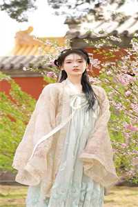 极品豪医楚丰白蓉完整版免费小说_完整免费小说极品豪医(楚丰白蓉)