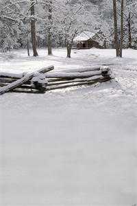 爹爹开门，我带剧本来救全家了(乔娇娇孟谷雪)热门免费小说_热门小说排行榜爹爹开门，我带剧本来救全家了(乔娇娇孟谷雪)