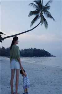 开局闪婚真豪门，一路躺平成团宠(云苏秦司堰)热门小说排行榜_热门小说免费阅读开局闪婚真豪门，一路躺平成团宠云苏秦司堰