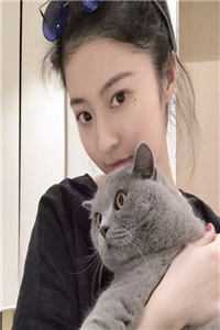 爆款热文分手后，我在官场平步青云全文(陈明浩李冬梅)最新章节免费在线阅读_《分手后，我在官场平步青云全文》全本阅读