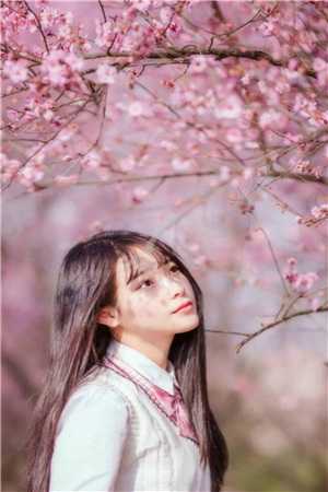我的直播通古代，古人全麻了(周瑾玉刘邦)新热门小说_免费小说在线阅读我的直播通古代，古人全麻了周瑾玉刘邦