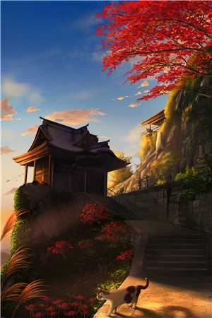 逃婚三年，江少的花心人设崩了