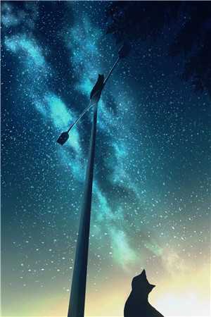 八年梦悔柳心月苏晨最新章节阅读_《八年梦悔》全本免费在线阅读