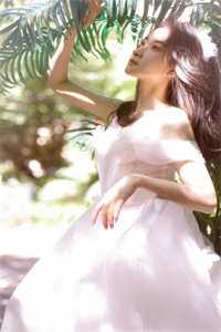 免费阅读离婚后，放飞自我江辰夏云荷_离婚后，放飞自我(江辰夏云荷)完结免费小说