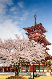 完结版小说全文免费阅读宅斗：从整治一家白莲花开始(翟鸶钰南宫策)_宅斗：从整治一家白莲花开始翟鸶钰南宫策无弹窗全文免费阅读