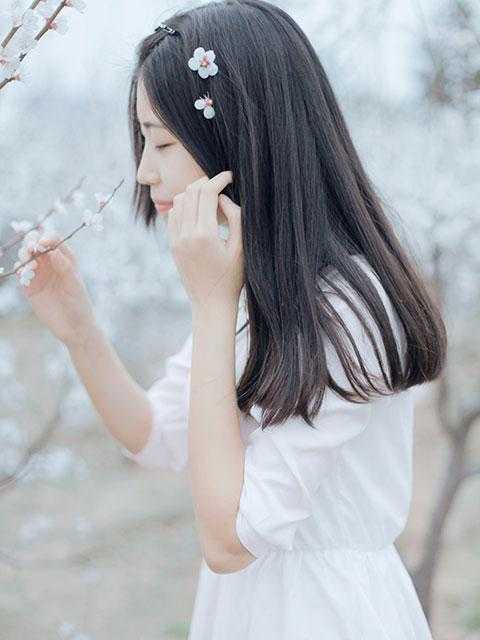 权力法则(秦山樊青霞)无弹窗小说免费阅读_最热门小说权力法则(秦山樊青霞)