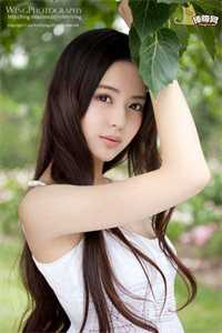 西游记之小白龙3土地公太白金星最新更新小说_小说完结版西游记之小白龙3土地公太白金星