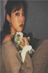 男朋友推迟婚礼后，我转身嫁给了首富(陆予淮何鹿)下载