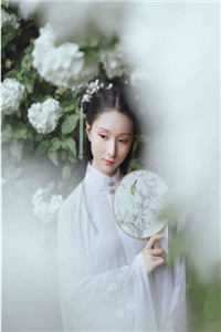 杯酒咽离愁(楚清音楚千寒)小说叫什么名字