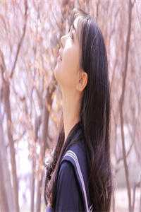 大结局爱如朝露，风吹无痕