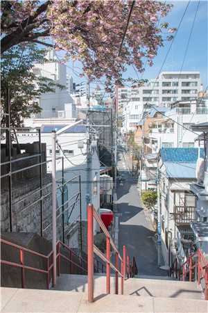 再无一人恰似我精品小说