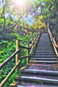 错将春色付海棠(顾兰愿陈景川)抖音