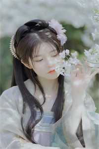 言而无信(蒋川何灵)完结小说推荐_热门网络小说言而无信蒋川何灵