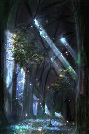 长夜与风说