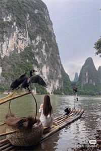 三流爱情(白里崇白里崇白)免费小说_完整版小说免费阅读三流爱情白里崇白里崇白