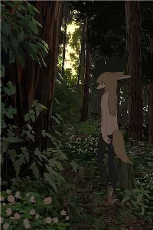 《勿盼明月归》(凌程君林宛娘)免费小说免费阅读_完本免费小说《勿盼明月归》凌程君林宛娘