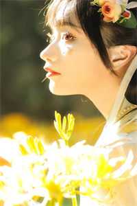 爱意散去尚鹤淮夏夏免费小说在哪看_完整版小说免费阅读爱意散去尚鹤淮夏夏
