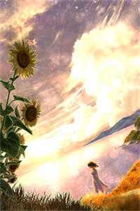 《繁花落尽终是悔》沈南音秦樾完本小说_小说完结免费《繁花落尽终是悔》沈南音秦樾