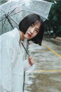 爱如落叶沈倾颜周乘风最新更新小说_免费小说完结爱如落叶沈倾颜周乘风