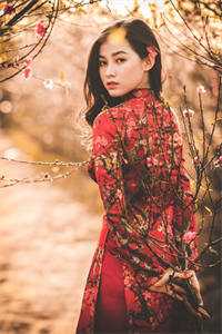 天才儿子陨落后，老婆跪寻父子火葬场江茵茵王晨热门小说完结_免费完本小说天才儿子陨落后，老婆跪寻父子火葬场(江茵茵王晨)