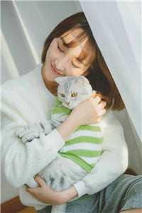 老公为了白月光，踹死了我的导盲犬(江婉朝陆铭远)完本小说阅读_网络热门小说老公为了白月光，踹死了我的导盲犬(江婉朝陆铭远)