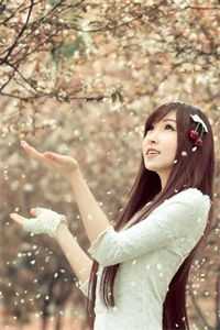退婚后，将门虎女她名满京城柳芙蕖谢渊止完结版在线阅读_(退婚后，将门虎女她名满京城)完整版阅读_(退婚后，将门虎女她名满京城)全文阅读