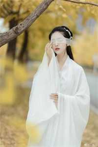 《谁的青春不迷茫》(赵春兰叶长顺)小说完整版_免费完结小说《谁的青春不迷茫》赵春兰叶长顺