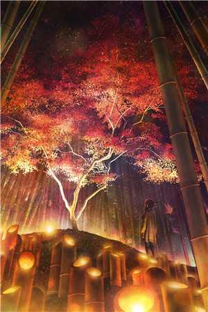 怀孕那天，老公要和我离婚(程知鸢贺瑾舟)免费小说在线阅读_免费小说推荐怀孕那天，老公要和我离婚程知鸢贺瑾舟