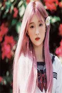 昔去雪如花梵启垣梵语卿热门完本小说_完结热门小说昔去雪如花(梵启垣梵语卿)