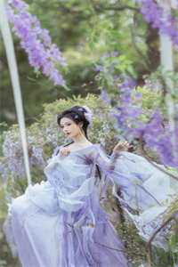 爱不从法(夏秋白月光)最新完结小说推荐_免费小说完结版爱不从法(夏秋白月光)