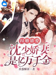 隐婚八年，他为小助理点亮全城(沈墨琛林棠)完结版小说_最新好看小说隐婚八年，他为小助理点亮全城(沈墨琛林棠)
