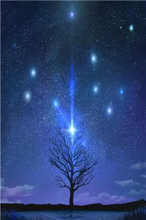 落入星空将你遗忘