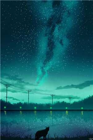 星夜微凉花未眠