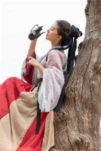 老祖宗归来，败家子她是真敢打(宋姝月安林生)全文免费阅读_小说全文免费阅读老祖宗归来，败家子她是真敢打宋姝月安林生