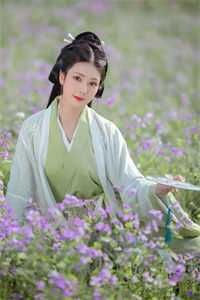 《长安情缘：海棠依旧》(林婉清林逸风)最新好看小说_完结免费小说《长安情缘：海棠依旧》(林婉清林逸风)
