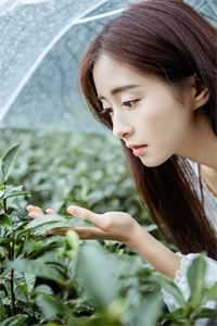 《我，和儿子同学谈恋爱》许涓江淮免费小说推荐_免费热门小说《我，和儿子同学谈恋爱》(许涓江淮)