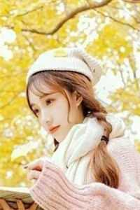 离婚后，我用炒股迎来新人生李白陆星冉最热门小说_热门网络小说推荐离婚后，我用炒股迎来新人生(李白陆星冉)