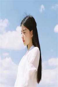 爱若纷飞去，不曾雪满头林锦绣秦可心热门完本小说_免费阅读爱若纷飞去，不曾雪满头(林锦绣秦可心)
