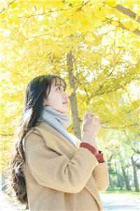 我带岳父岳母回家过年，却被小三羞辱沈凡一许婉免费小说_完本小说免费阅读我带岳父岳母回家过年，却被小三羞辱沈凡一许婉