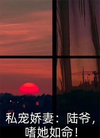 她也曾赠我星光(苏向晚贺景舟)热门小说完结_完结好看小说她也曾赠我星光苏向晚贺景舟