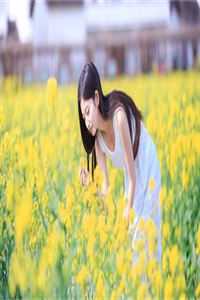 《重生之璀璨商界女神》(张小)最新完本小说推荐_推荐完本小说《重生之璀璨商界女神》(张小)