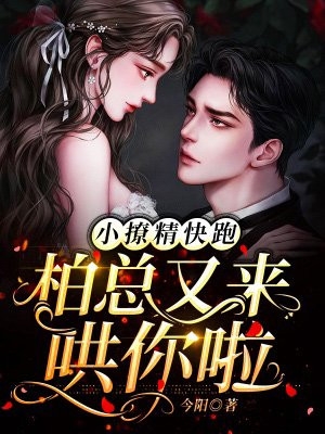我也愿意为你潜入海底(魏斯越苏稚月)新热门小说_完结免费小说我也愿意为你潜入海底魏斯越苏稚月