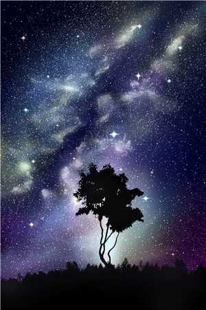 父子都选白月光，这婚我离定了夏星沈夜冥最新好看小说推荐_完本小说免费父子都选白月光，这婚我离定了(夏星沈夜冥)