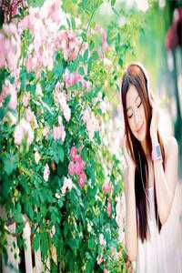 音尘悄然，春色如黛